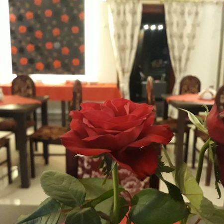 Hotel Kowalkowski Grudziądz Kültér fotó